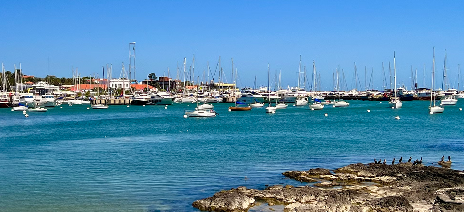 varios veleros en el puerto